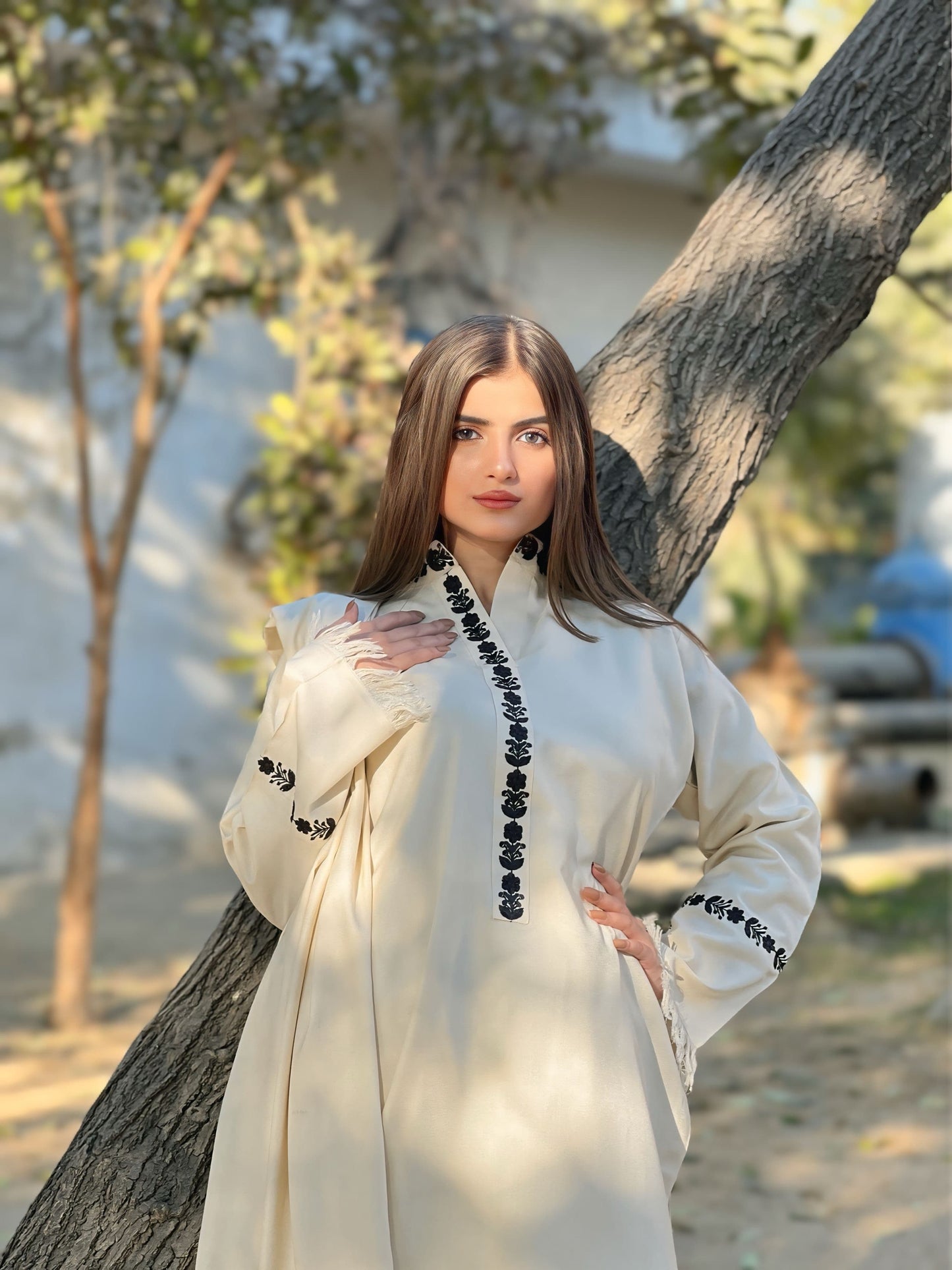 Dhanak Dress - SS-50
